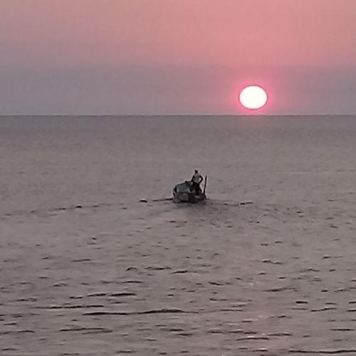 Photo #4630252