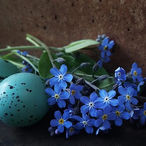 Photo #4630299