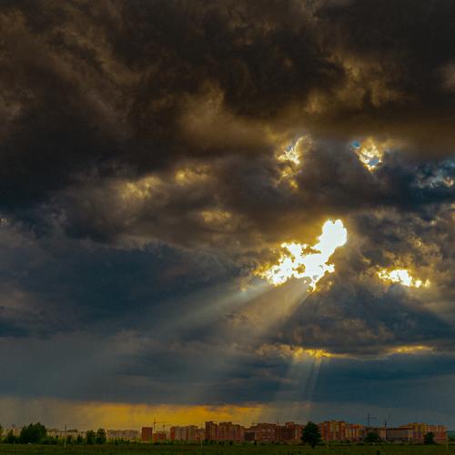 Photo #4630305