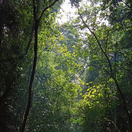Photo #4630507