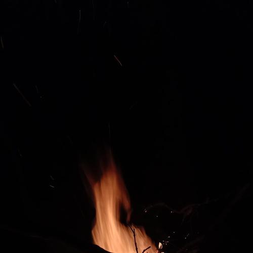 Photo #4630508