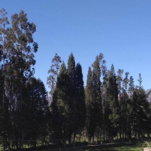 Photo #4631227