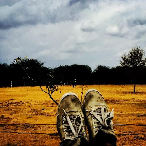 Photo #4631445
