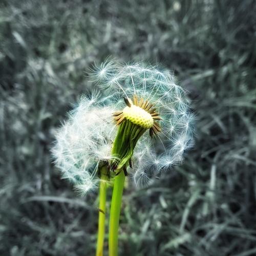 Photo #4631606