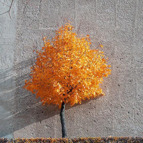 Photo #4631641