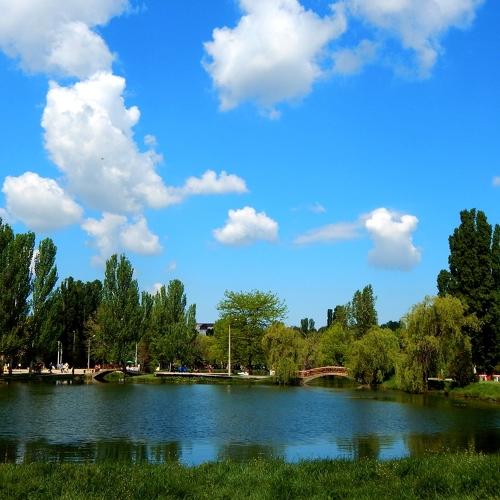 Photo #4631644