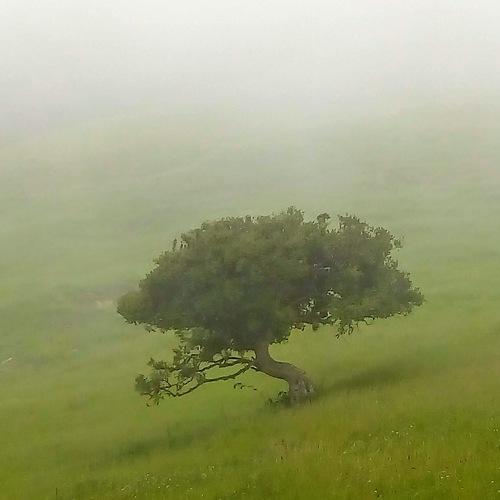 Photo #4632139