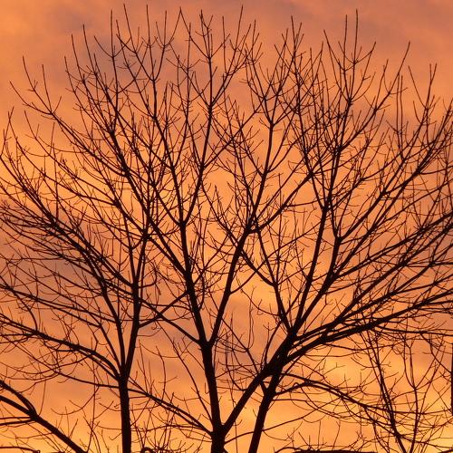 atardecer en Libertad