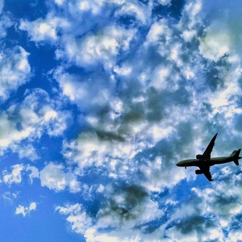 Fly high