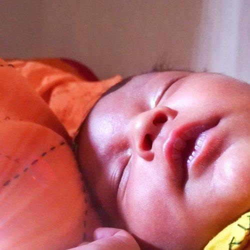 Photo #4632982