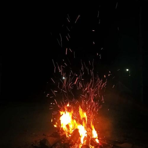 Photo #4633011