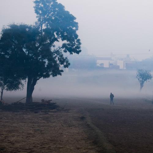 Foggy day.