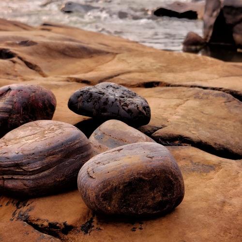 Photo #4634124