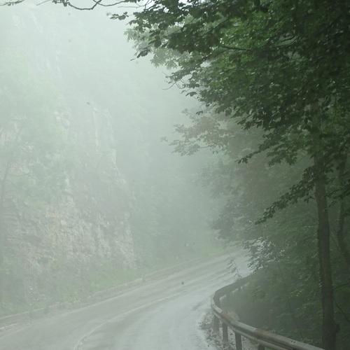Photo #4634240