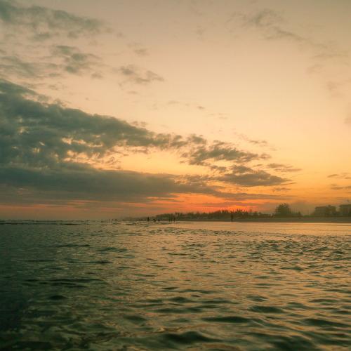 Photo #4634287