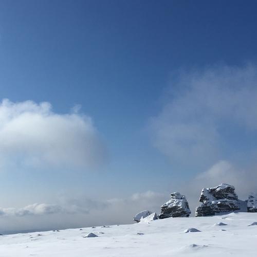 Photo #4634533