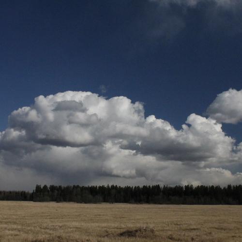 Photo #4634713