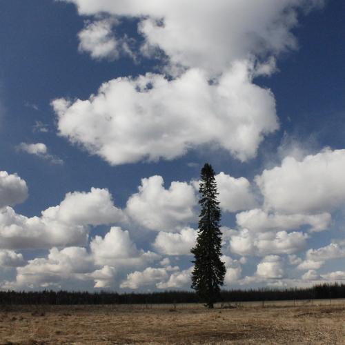Photo #4634762