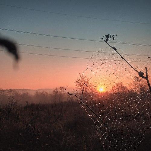 Photo #4634872