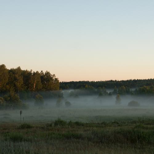 Photo #4634914