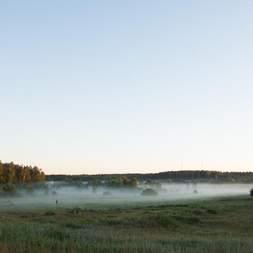 Photo #4634987