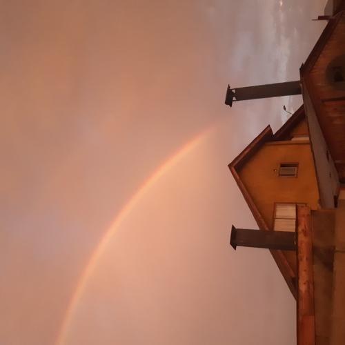 Photo #4635299