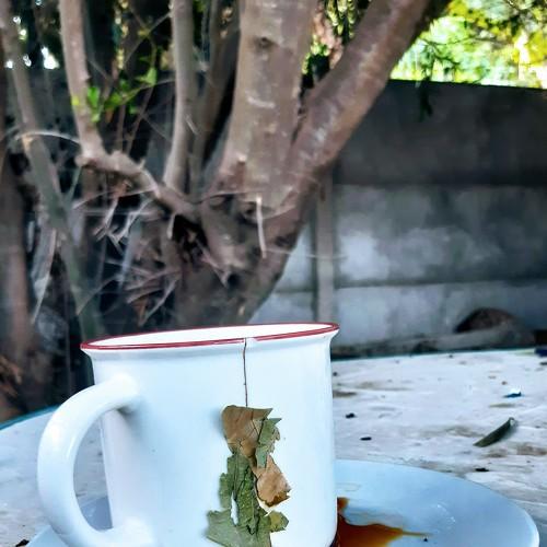 Photo #4635309
