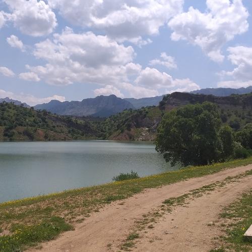 Photo #4635340