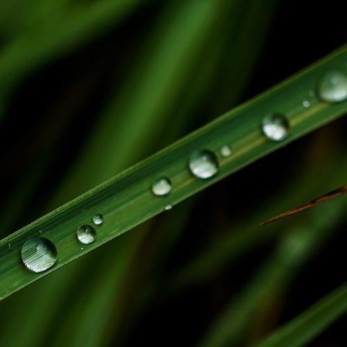 Photo #4636068