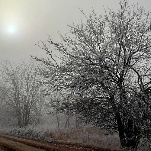 Photo #4636210