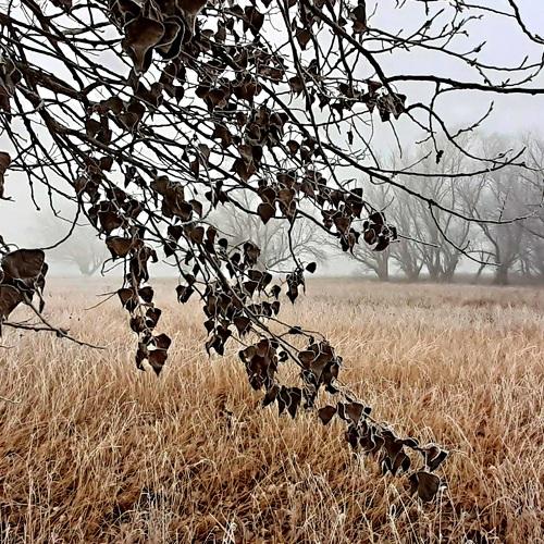 Photo #4636211