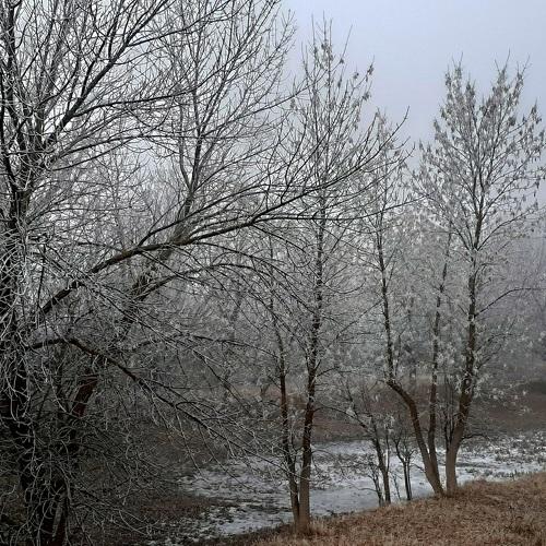Photo #4636214