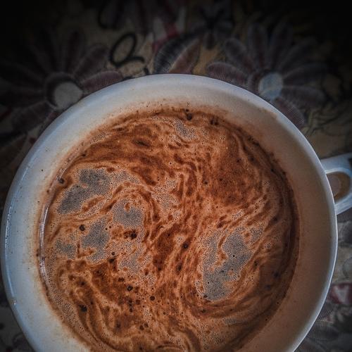 Photo #4636279