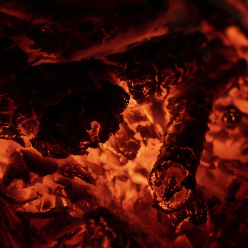 Photo #4636320