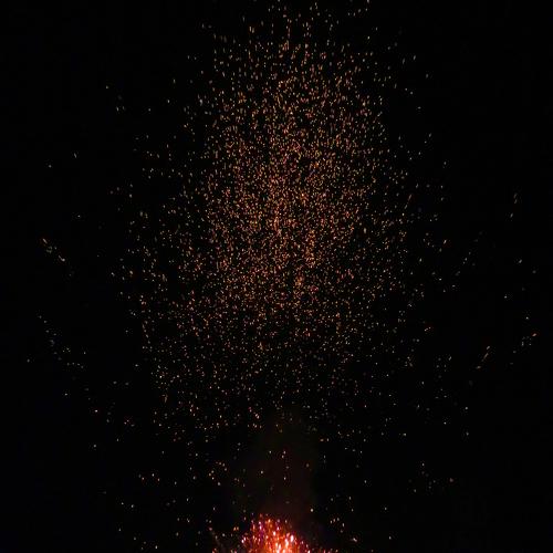 Photo #4636640