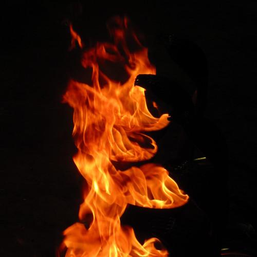 Photo #4636650