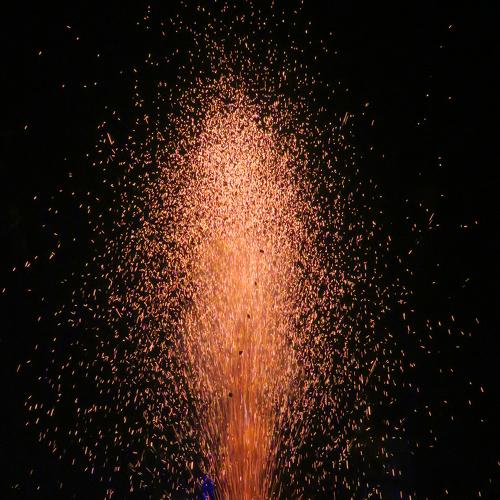 Photo #4636676