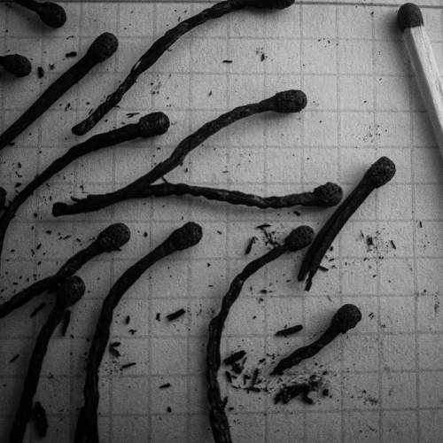 Photo #4636924