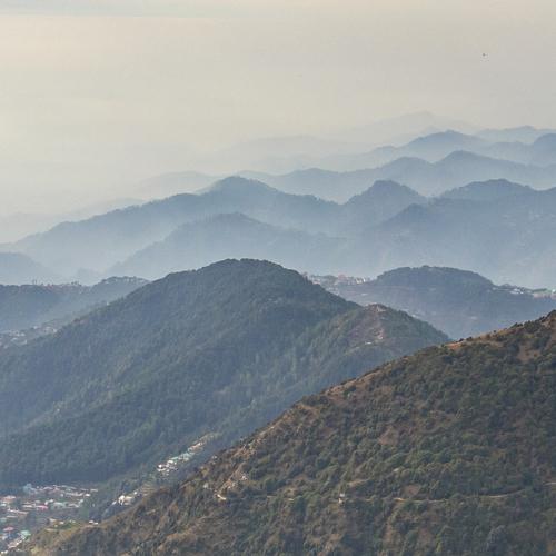Photo #4637510