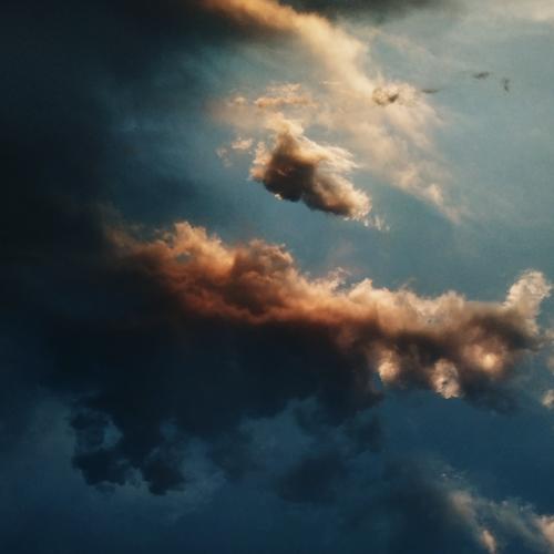 Photo #4637550