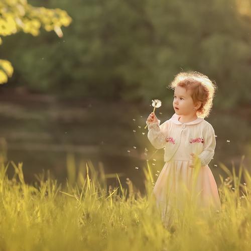Photo #4637571