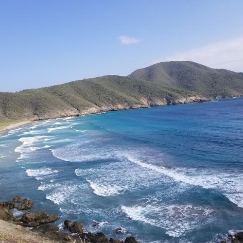 7 Olas