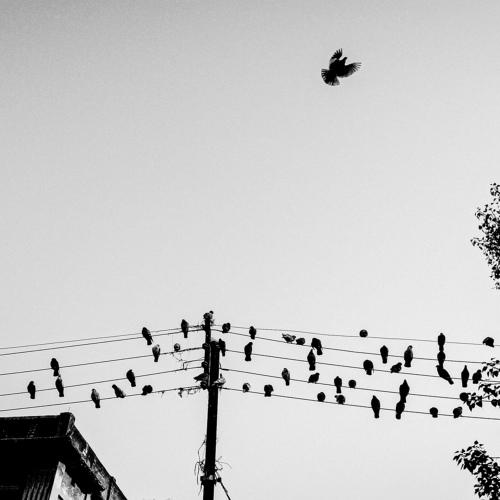 Photo #4638059