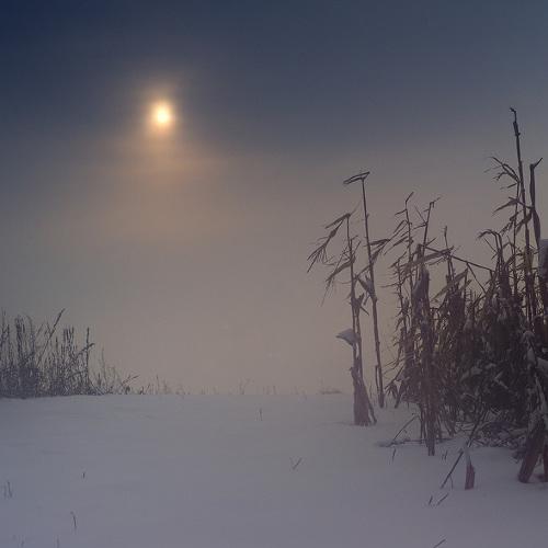 Photo #4638129