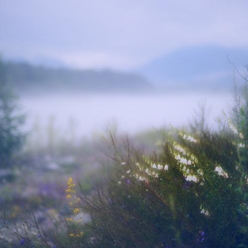 Photo #4638143