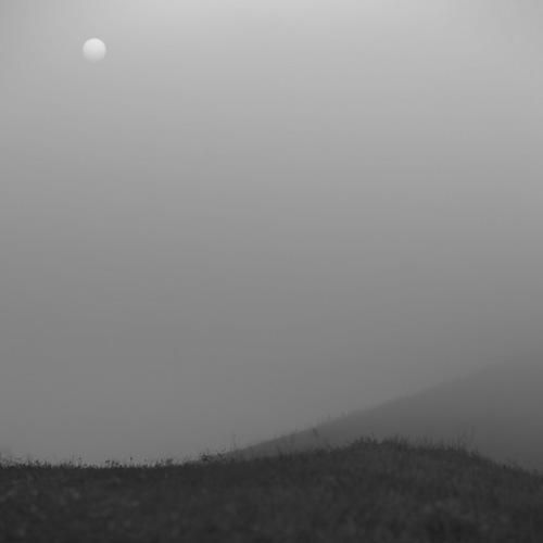 Photo #4638144