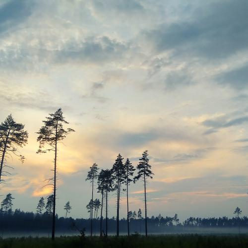 Photo #4638159