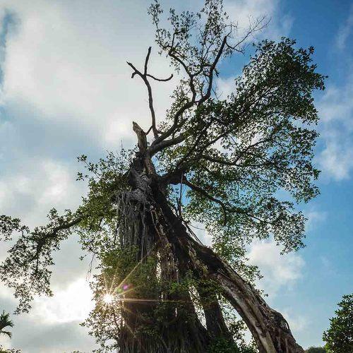 Photo #4638170
