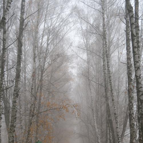 Photo #4638639