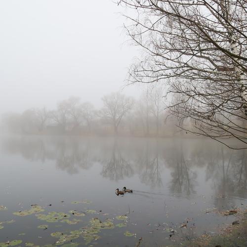 Photo #4638663